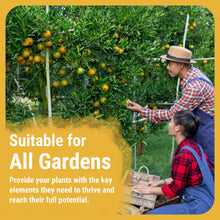 Carregar imagem no visualizador da galeria, CalMag 2-0-0 | Complete Calcium, Magnesium and Iron Plant Supplement
