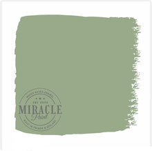 Load image into Gallery viewer, Miracle Paint (32 oz.)
