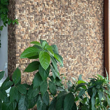 Load image into Gallery viewer, Coconut Shell Basketweave Mesh-mounted Mosaic Wall Tile - Livfloors Collection
