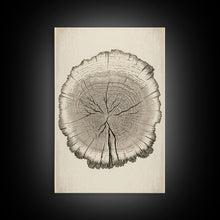Load image into Gallery viewer, Framed Wall Art Canvas Print, Tree Cross Section, Tree Rings, Rustic Art, Farmhouse Decor, Oak Wood Tree Rings, Illustration, Gift For Him
