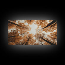 Carregar imagem no visualizador da galeria, Forest Art, Trees Wall Art, Fall Art Print, Panoramic Art, Wall Art, Canvas Art, Landscape Art, Wall Art Prints, Entryway Prints, RV Decor
