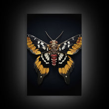 Load image into Gallery viewer, Framed Death Head Moth Canvas Print, Acherontia, Taxidermy Art, Dried Butterfly Print, Bug Wall Art Hanging Decor, Goth Art, Halloween Art
