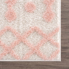 Load image into Gallery viewer, Darva Pink Plush Area Carpet

