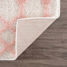 Load image into Gallery viewer, Darva Pink Plush Area Carpet
