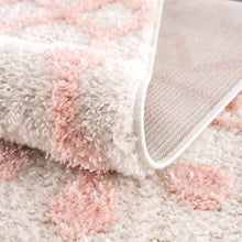 Load image into Gallery viewer, Darva Pink Plush Area Carpet
