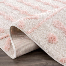 Load image into Gallery viewer, Darva Pink Plush Area Carpet
