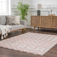 Load image into Gallery viewer, Darva Pink Plush Area Carpet
