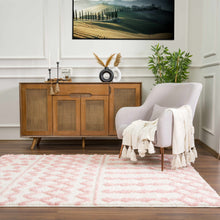 Load image into Gallery viewer, Darva Pink Plush Area Carpet
