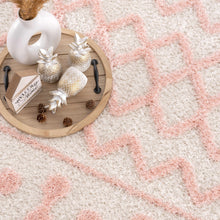 Load image into Gallery viewer, Darva Pink Plush Area Carpet
