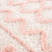 Load image into Gallery viewer, Darva Pink Plush Area Carpet
