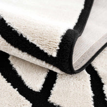Carregar imagem no visualizador da galeria, Azana Black &amp; White Area Rug

