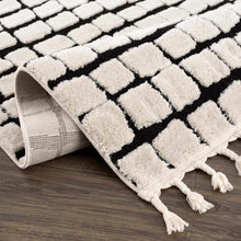 Load image into Gallery viewer, Teshi Plush Grid Area Rug - Promo
