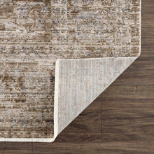 Carregar imagem no visualizador da galeria, Aistys Washable Area Rug
