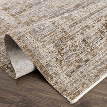Carregar imagem no visualizador da galeria, Aistys Washable Area Rug
