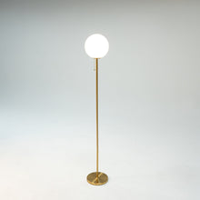 Cargar imagen en el visor de la galería, Polaris Floor Lamp
