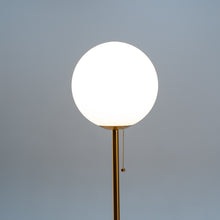 Cargar imagen en el visor de la galería, Polaris Floor Lamp
