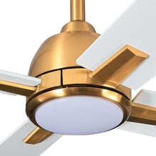 Load image into Gallery viewer, 48&quot; Linden DC Motor Downrod Mount Reversible Ceiling Fan with Lighting and Remote Control

