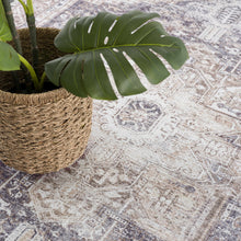 Cargar imagen en el visor de la galería, Beige Rosman Washable Area Rug - Promo
