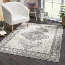 Load image into Gallery viewer, Marash 4605 Gray Area Carpet - Clearance
