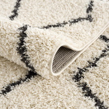 Load image into Gallery viewer, West End Plush Area Rug
