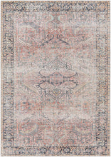 Load image into Gallery viewer, Dunsha Boutique Washable Area Rug - Clearance

