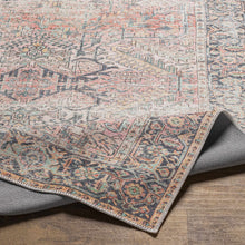 Load image into Gallery viewer, Dunsha Boutique Washable Area Rug - Clearance
