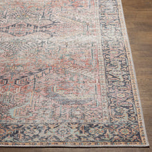 Load image into Gallery viewer, Dunsha Boutique Washable Area Rug - Clearance
