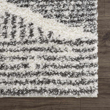 Load image into Gallery viewer, Trunding Plush Area Rug

