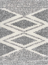 Load image into Gallery viewer, Trunding Plush Area Rug

