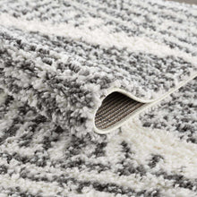 Load image into Gallery viewer, Trunding Plush Area Rug
