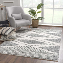 Load image into Gallery viewer, Trunding Plush Area Rug
