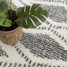 Load image into Gallery viewer, Trunding Plush Area Rug
