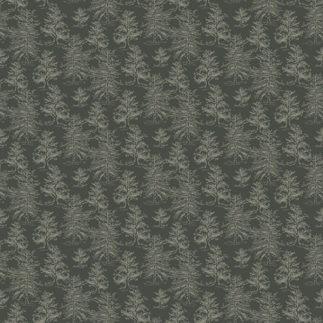 Dakota Wallpaper by Aubrey Fairchild