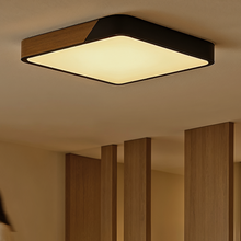 Load image into Gallery viewer, Delphi Ceiling Light
