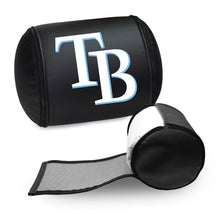 Load image into Gallery viewer, Tampa Bay Rays Secondary Logo Panel

