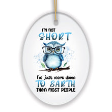 Load image into Gallery viewer, Down to Earth Owl Ceramic Ornament, Cute and Funny Christmas Gift
