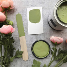 Load image into Gallery viewer, Dunavant Green - One Step Paint - 4oz Sample

