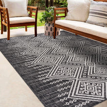 Carregar imagem no visualizador da galeria, Frankville Black&amp;White All Over Performance Rug
