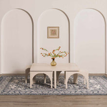 Carregar imagem no visualizador da galeria, Etoile Navy Blue Performance Rug
