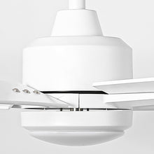 Load image into Gallery viewer, 48&quot; DC Motor 5 Blades Modern Downrod Mount Ceiling Fan
