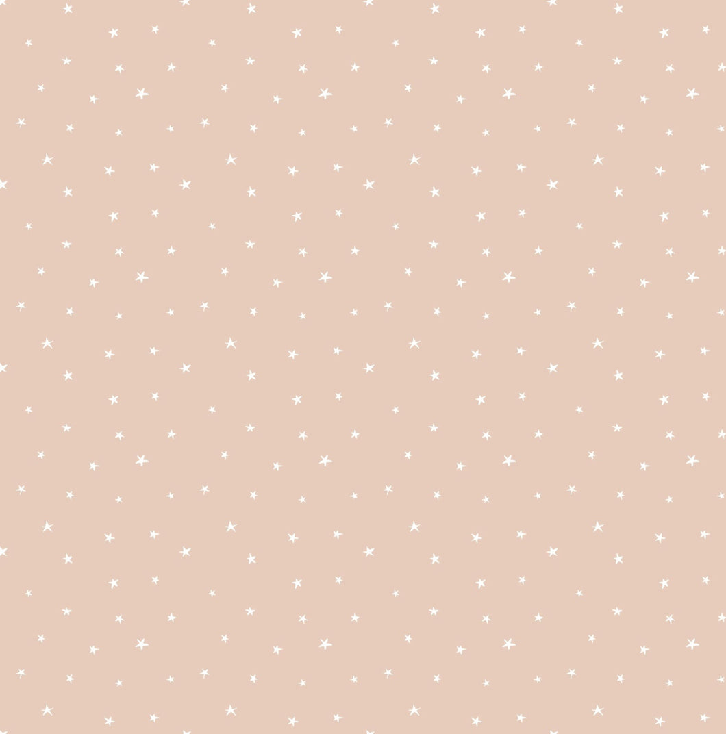 Aster Wallpaper by Micush