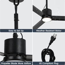 Carregar imagem no visualizador da galeria, 42 Inch Rhine Indoor/Wet Outdoor IP65 Black Anywhere Waterproof Ceiling Fan with LED Light and Convenient Hanging Hook
