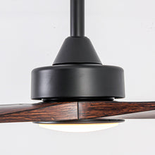 Carregar imagem no visualizador da galeria, 60 Inch Alexi DC Motor Modern Downrod Ceiling Fan with LED Light
