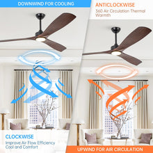Carregar imagem no visualizador da galeria, 60 Inch Alexi DC Motor Modern Downrod Ceiling Fan with LED Light
