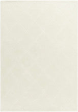 Carregar imagem no visualizador da galeria, Almeda Washable Wool Area Rug
