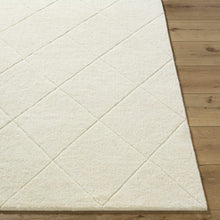 Carregar imagem no visualizador da galeria, Almeda Washable Wool Area Rug
