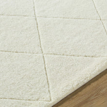 Carregar imagem no visualizador da galeria, Almeda Washable Wool Area Rug

