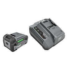 Cargar imagen en el visor de la galería, FLEX FX0411-1C 5.0Ah Lithium Starter Kit
