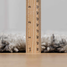 Carregar imagem no visualizador da galeria, Flintville Moroccan Shag Area Rug - Clearance
