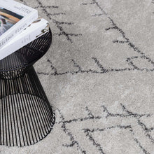 Carregar imagem no visualizador da galeria, Flintville Moroccan Shag Area Rug - Clearance
